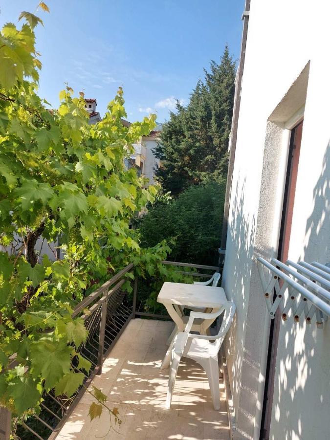 Villa Kralj 부드바 외부 사진
